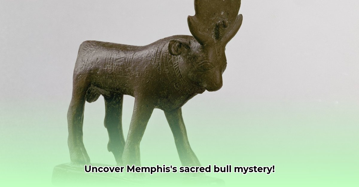 heilige-stier-van-memphis